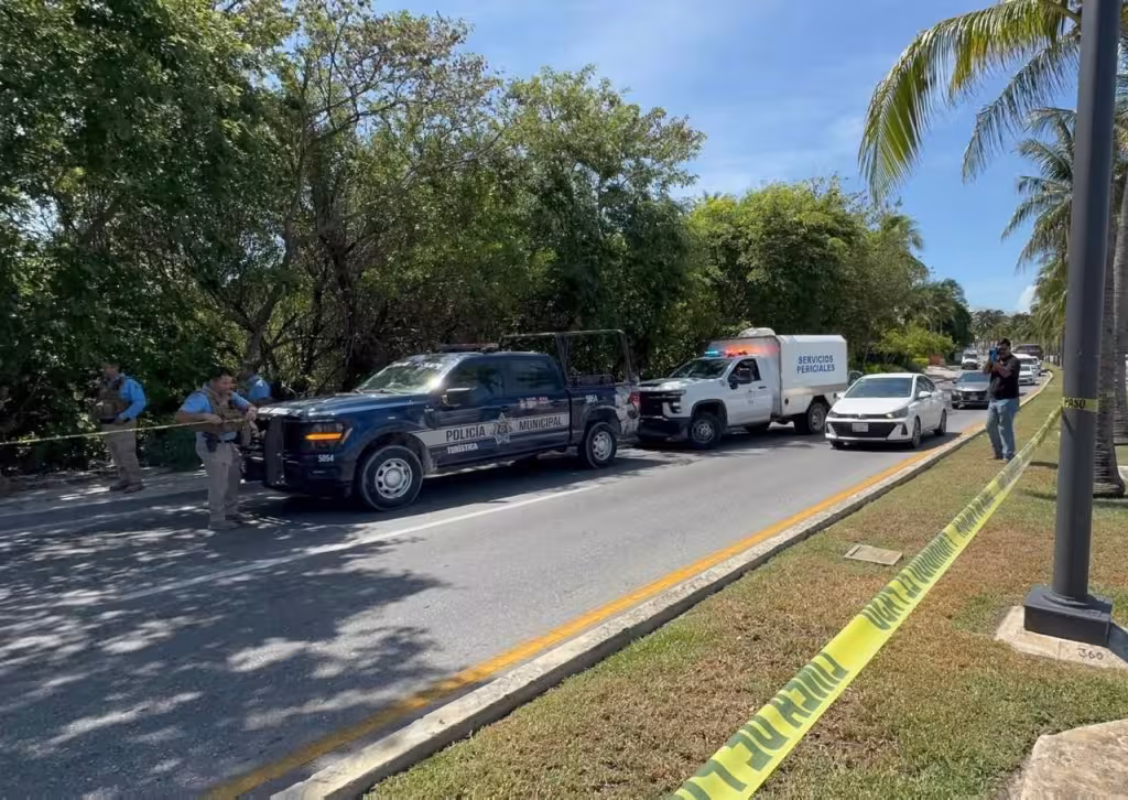 Investigan muerte de hombre hallado en manglar de la Zona Hotelera de Cancún