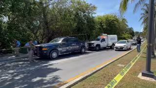 Investigan muerte de hombre hallado en un área de manglar de la zona hotelera de Cancún