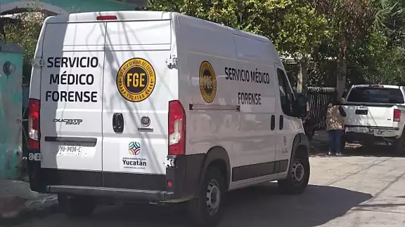 El padre indicó que su hijo estaba bajo tratamiento psicológico