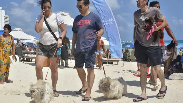 La medida ya fue aprobada, falta habilitar la plataforma en la que se subirán los datos