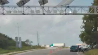 Para combatir la rapiña