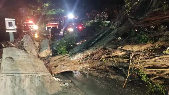 Persona electrocutada, árboles caídos y techos derrumbados por lluvia en Campeche Persona electrocutada, árboles caídos y techos derrumbados por lluvia en Campeche