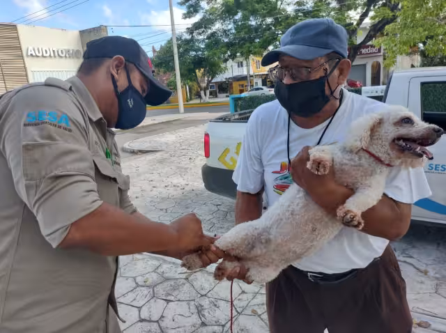 A pesar del Covid-19, se está llevando a cabo la campaña con las medidas sanitarias