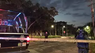 La esposa comenzó a gritar mientras que los atacantes corrieron y se subieron a una motocicleta en la cual huyeron