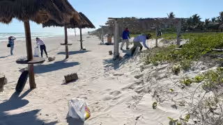 El objetivo es que este puerto mantenga su certificación de Playa Platino