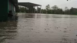 Así quedó un plantel en Guerrero. Foto: Twitter @Jesus_Villa_Veg
