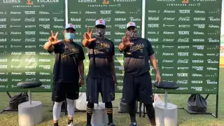 Liz ha lanzado en las más importantes ligas del mundo, desde la Gran Carpa, la de Corea del Sur, la de Japón, la de Taiwán, así como en el invierno en su país y en la Liga del Caribe