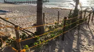 Hoteleros no pueden prohibir el libre acceso a las playas de Quintana Roo