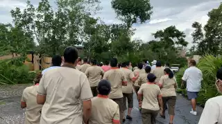 Al llegar el maltrato y las violaciones al límite, los trabajadores iniciaron este movimiento de brazos caídos