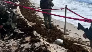 El personal militar recorría la parte noreste de la isla cuando hallaron dos paquetes sospechosos a la orilla de la playa