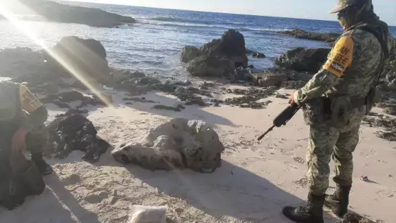 El paquete asegurado fue puesto a disposición ante la FGR de la ciudad de Cancún El paquete asegurado fue puesto a disposición ante la FGR de la ciudad de Cancún