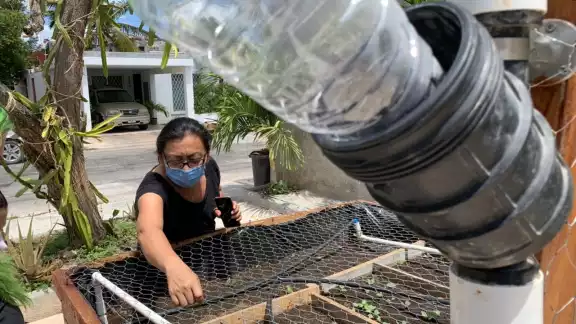 Wendy Lira invita a los vecinos a involucrarse y agarrar lo que necesiten de la siembra Wendy Lira invita a los vecinos a involucrarse y agarrar lo que necesiten de la siembra