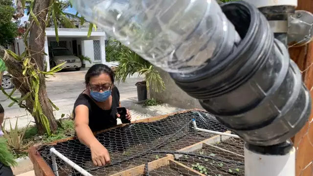 Wendy Lira invita a los vecinos a involucrarse y agarrar lo que necesiten de la siembra