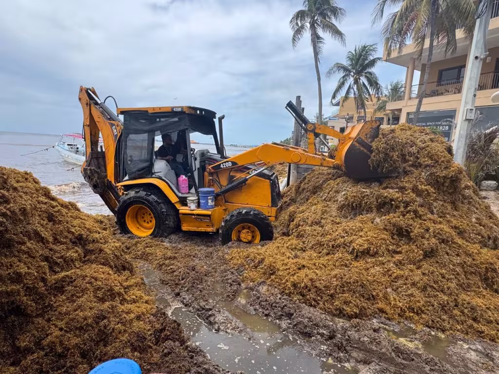 Marina busca frenar el sargazo antes de que llegue a las playas de Quintana Roo