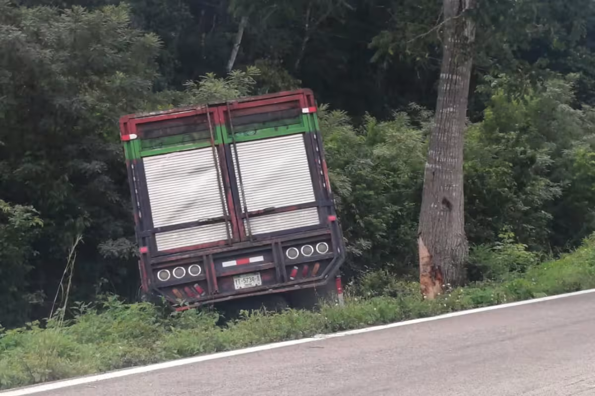 Camioneta choca y se sale de la carretera en el tramo Polyuc-San Luis ...