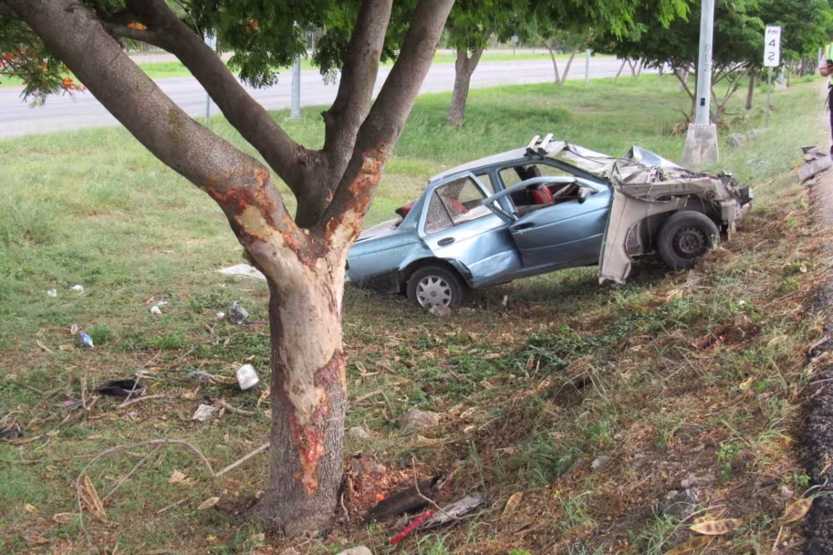 Conductor choca contra un árbol de flamboyán en el Periférico de Mérida ...
