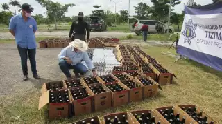 Se explicó que los envases que no fueron destruidos serán entregados a empresas dedicadas a la venta