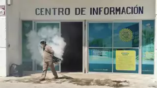 Rinde frutos la fumigación intensiva contra los mosquitos en Yucatán; descienden un 45% los casos de dengue
