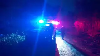 Fueron hallados por habitantes de la colonia irregular Generación 2000 en un área verde