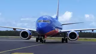 En el caso de lo que va del 2022, el aeropuerto de Cozumel reportó una cifra promedio de 50 mil pasajeros movilizados al mes