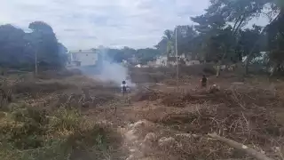 Denuncian invasión de predio federal en la colonia Fertimex, Escárcega