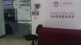 FOTOS: Fátima Miranda