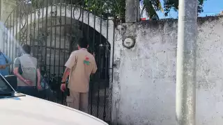 Profepa rescata un ejemplar de mono araña en Playa del Carmen