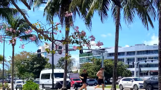 Crecimiento del parque automotor en Cancún agrava problemas de movilidad y contaminación