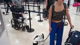 El “lomito” y su dueña se encontraban en la Terminal 2 del Aeropuerto para documentar antes de subir a su avión