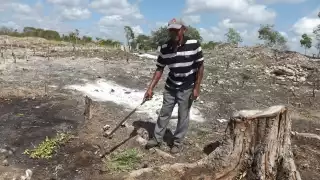 En el recorrido de Por Esto! Quintana Roo, se pudo observar varios terrenos carentes de lluvia