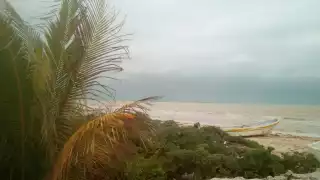 FOTOS: Abraham Baeza