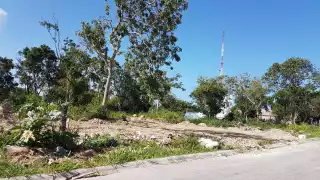 René Medrano Río indicó que la invasión de predios municipales pone en riesgo el desarrollo de Puerto Aventuras