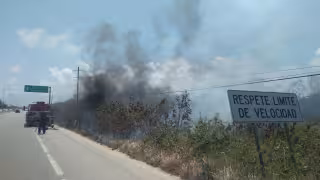 Incendio en Puerto Aventuras arrasa con varias hectáreas de pastizales