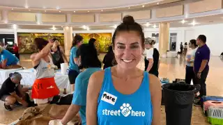 Realizan jornada gratuita de esterilización en Chetumal