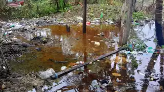 Basura genera inundaciones ante fuertes lluvias en Escárcega 