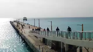 La Cofece determinó que no existen condiciones de competencia