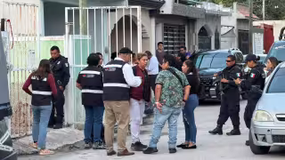 Hallazgo de ejemplares de agutí centroamericano sin vida en Cancún moviliza a las autoridades