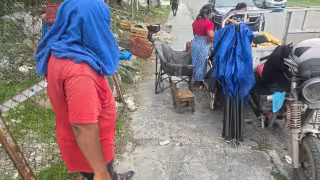 Nuevo ataque de abejas en Campeche moviliza a cuerpos de emergencia en la Avenida Concordia