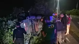 El cansancio pudo más con su estabilidad pues se averiguó que los caballos eran traídos desde Guadalajara