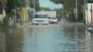 Foto: Irena Barradas