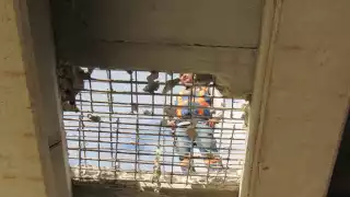 Trabajadores se encuentran reparando el puente del Periférico de Mérida