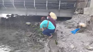 Hasta el momento se desconoce la razón de su muerte, si fue suicidio o accidente