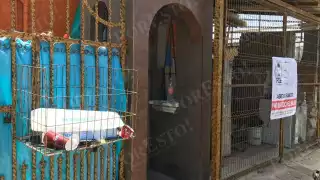 La Fiscalía especializada en antisecuestros implementó un operativo en la SM 227