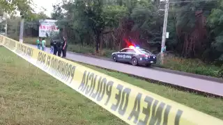 Se desconoce si se trata de una artesanía o en realidad son restos humanos incrustados en un árbol