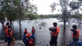 Conoce 'El Cedral, el nuevo proyecto ecoturístico virgen en Quintana Roo