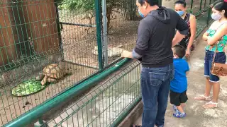 Foto: Edwin Aguilar Loeza