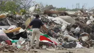 Día Mundial del Reciclaje: 35% de los desechos de Campeche son envases y embalajes