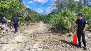 El hombre murió de forma instantánea tras caerle una enorme rama en la cabeza