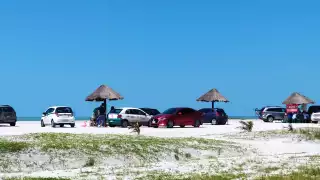Los bañistas acapararon las cientos de palapas que están distribuidas a lo largo de la zona playera de Carmen, algunos llevaron sus vehículos hasta la arena