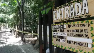 Parque ecológico Kabah reabre en el primer día del semáforo amarillo en Cancún